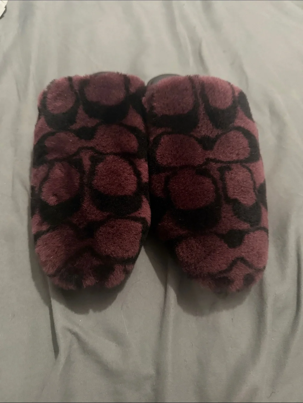Coach new slippers